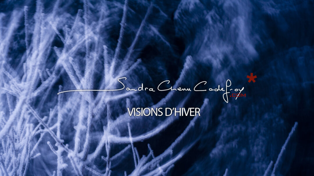 POM / Visions d’hiver… meilleurs voeux pour 2011