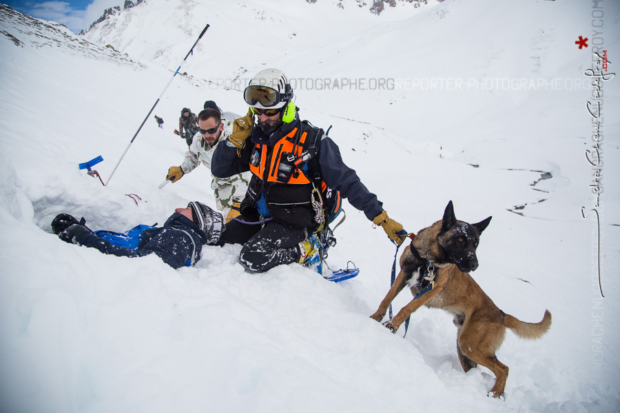 Une équipe cynophile de recherche des victimes d’avalanche