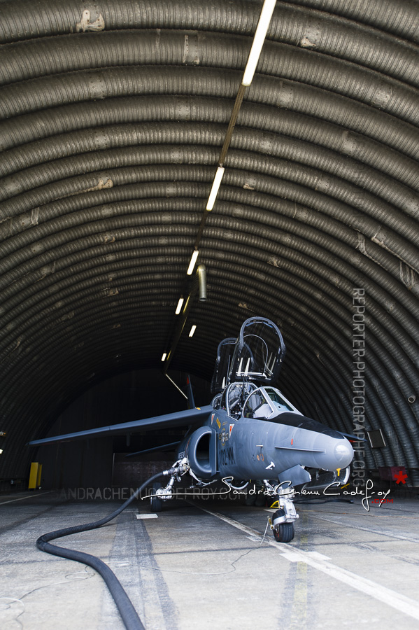 Un alphajet dans sa boîte de conserve