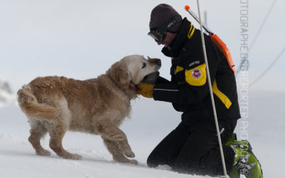 Chien d’avalanche jouant avec son maître [Ref:2310-02-1655]