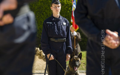 Stagiaire maître de chien [Ref:1215-05-0286]