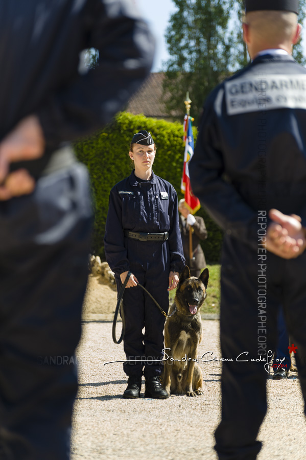 Stagiaire maître de chien [Ref:1215-05-0286]