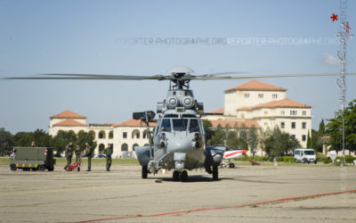 Caracal devant l’école de l’Air [Ref:3513-08-2133]