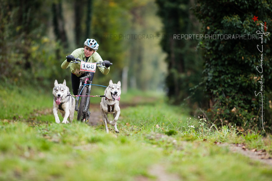 Concurrente du SuperDog [Ref:5015-16-0825]