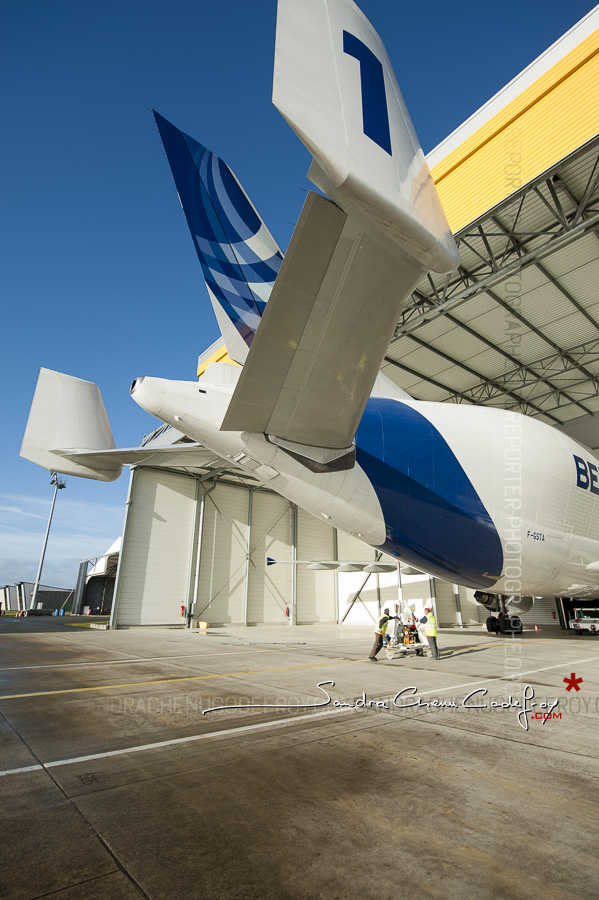 Empennage de queue d’un Airbus Beluga [Ref: 3513-19-0288]