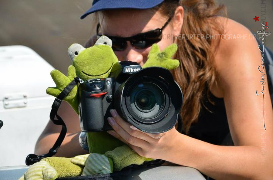 En reportage aux Reno Air Races