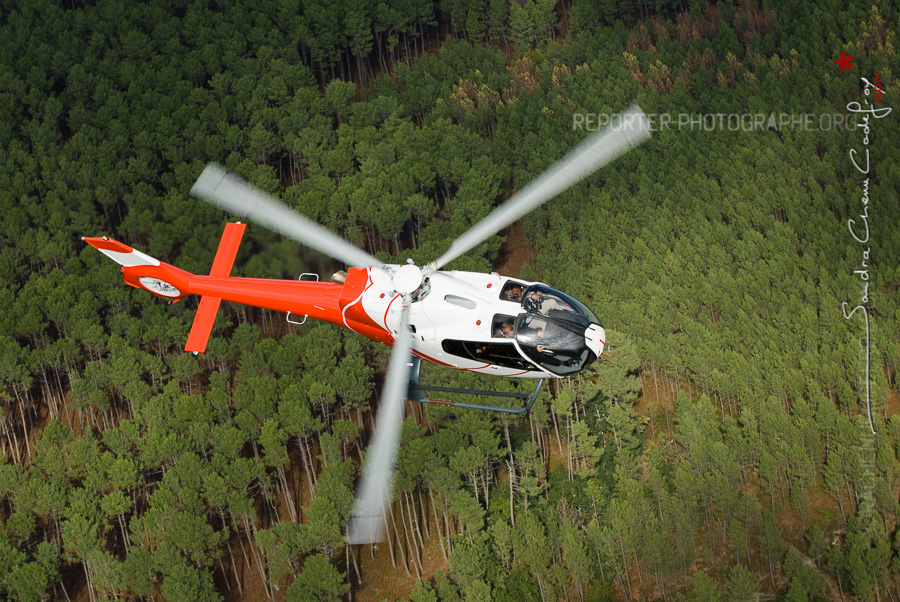 Hélicoptère EC-120 NHE survolant la forêt [Ref:3310-21-0331]