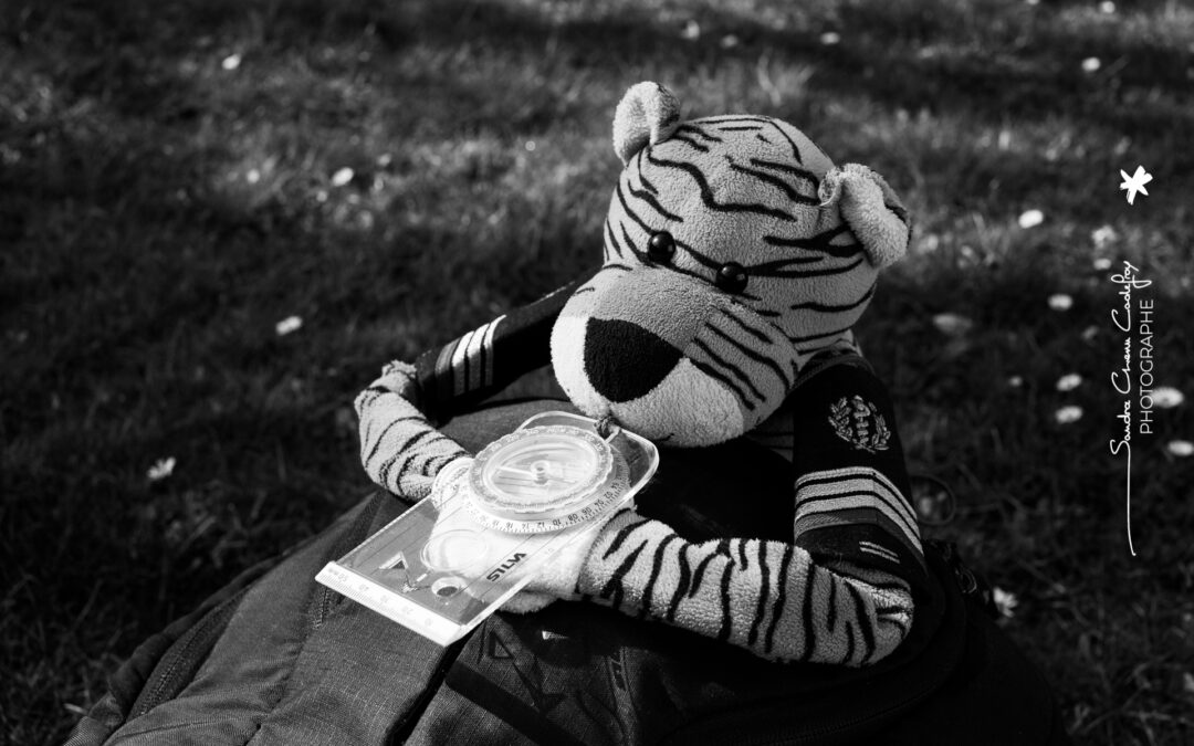 Photographe: comment ranger ses photos ? 1/4