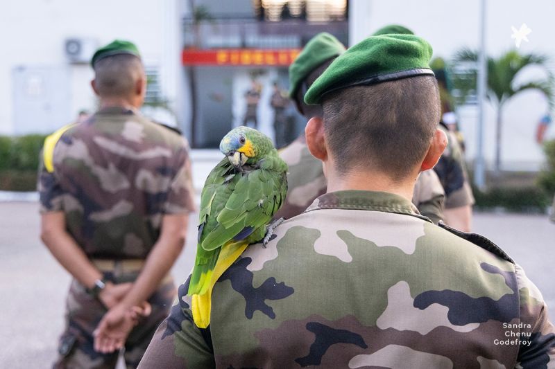 « As-tu remarqué que tu faisais des émules et que certains de tes camarades tentaient, avec plus ou moins de succès, de faire du SCG ? »
